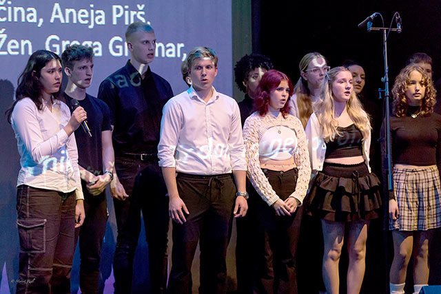 Nastop ledincev na Fete de la musique