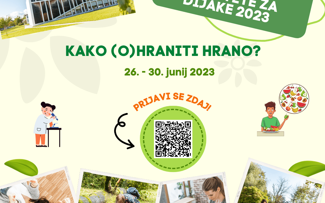 Poletna šola BF za dijake