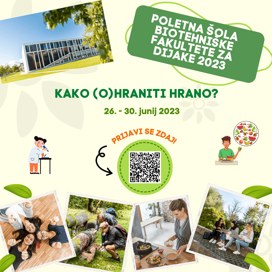 Poletna šola BF za dijake