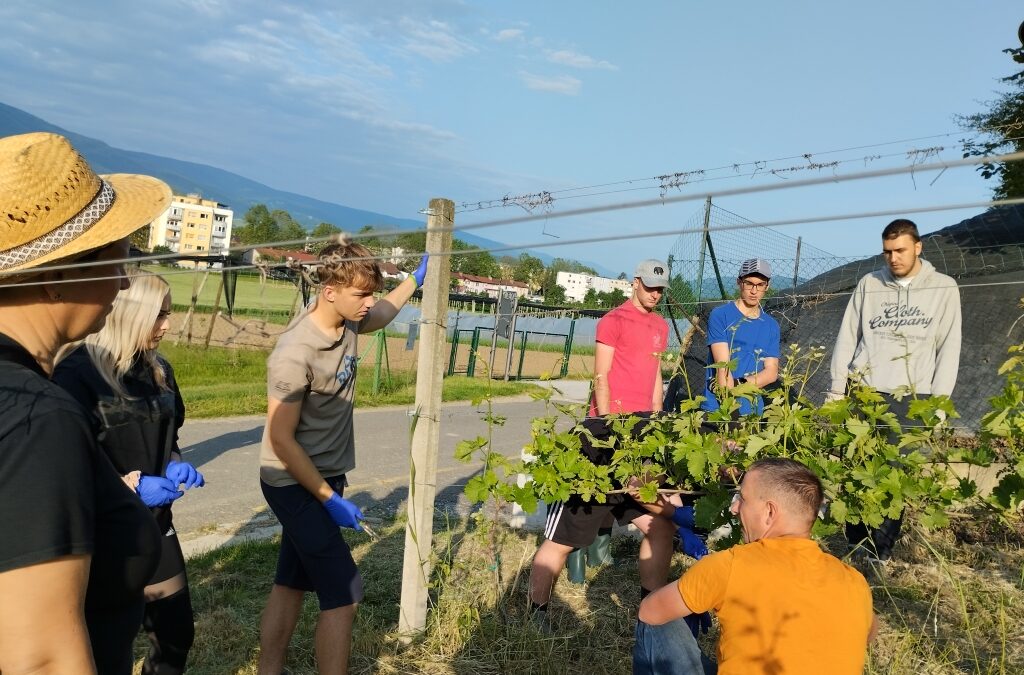 PUD in praktični pouk v razredih 2. aKPT in 3. aKPT