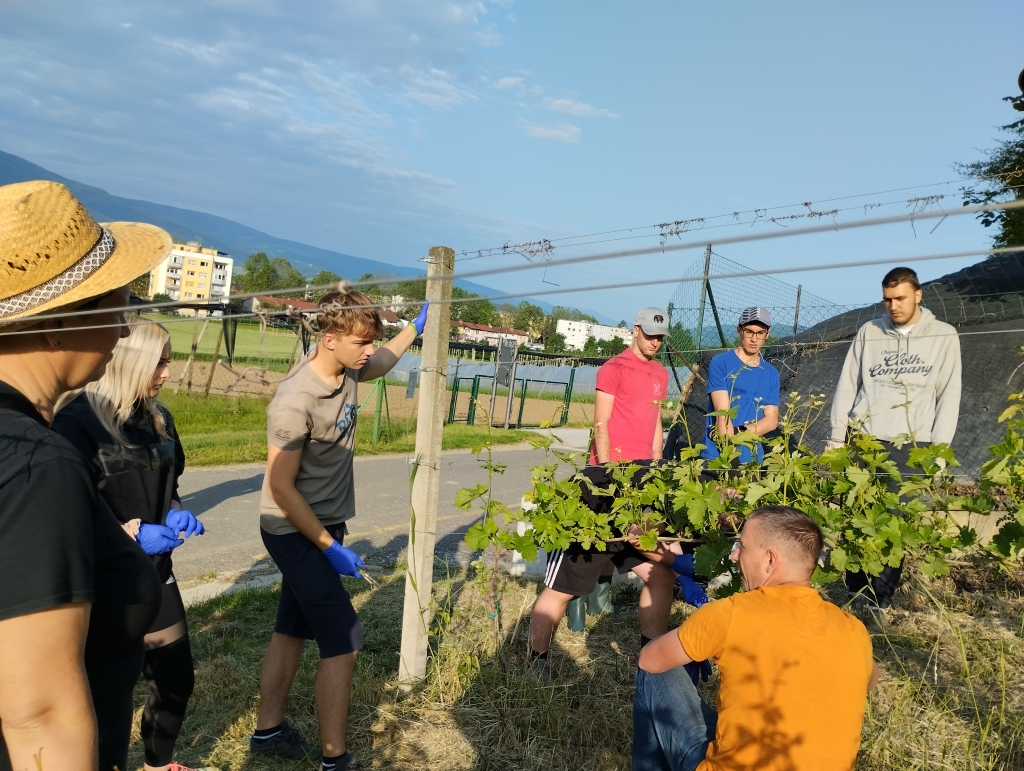 PUD in praktični pouk v razredih 2. aKPT in 3. aKPT PUD in praktični pouk v razredih 2. aKPT in 3. aKPT
