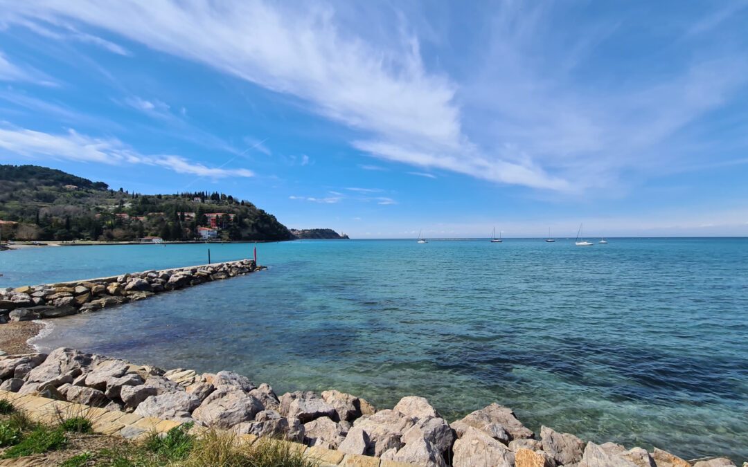 Ecovita: la sostenibilità vista dal mare
