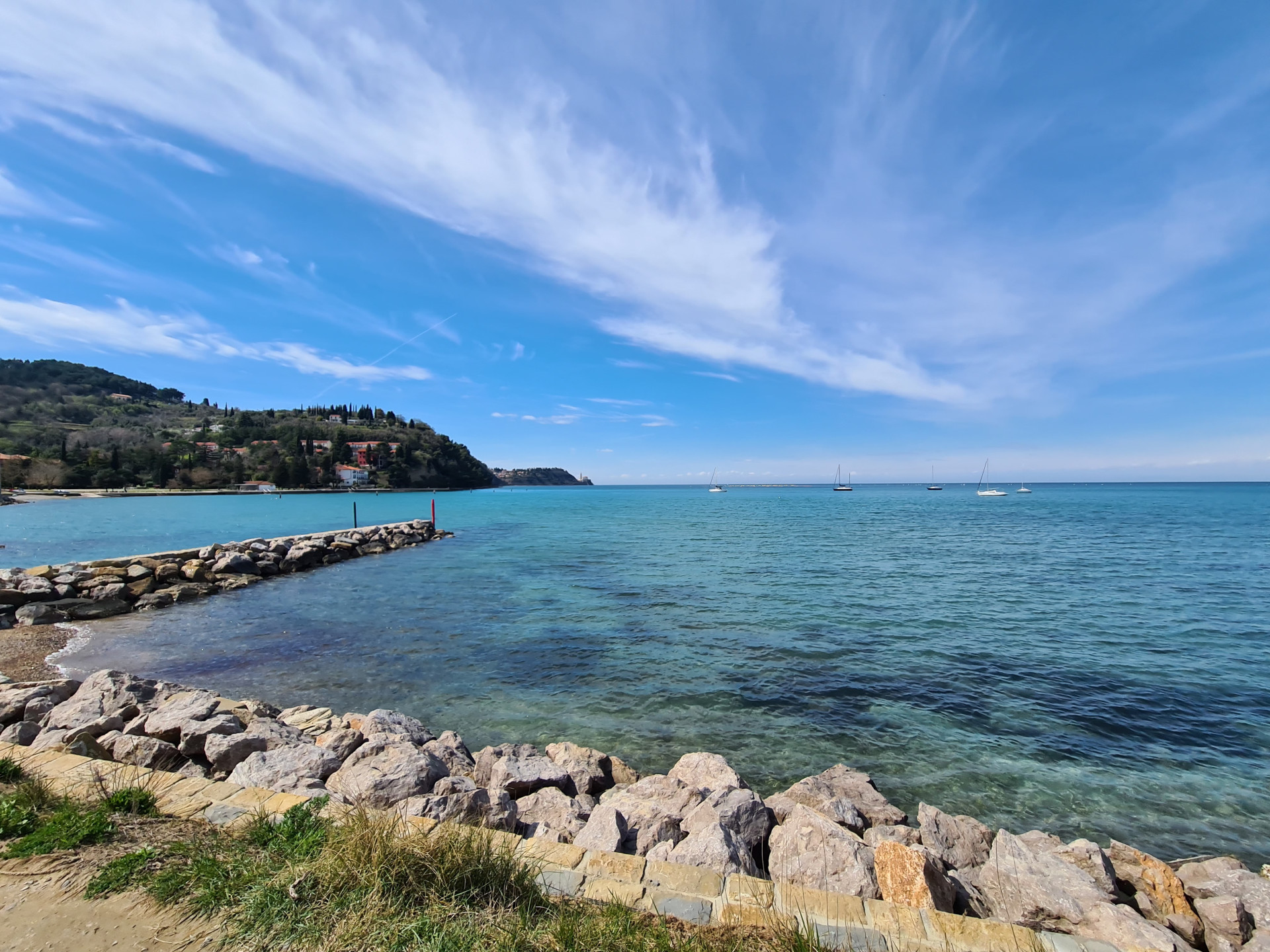Ecovita: la sostenibilità vista dal mare Ecovita: la sostenibilità vista dal mare