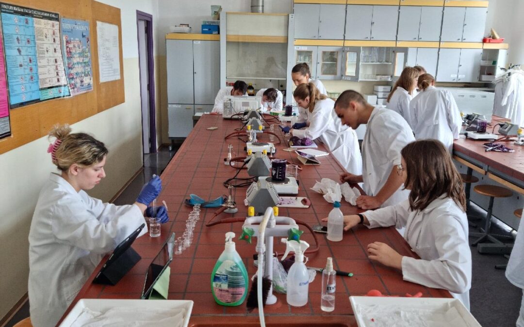 Uspešno izpeljan “Group 4 project” pri naravoslovnih predmetih v 3. letniku programa mednarodne mature (IB DP)