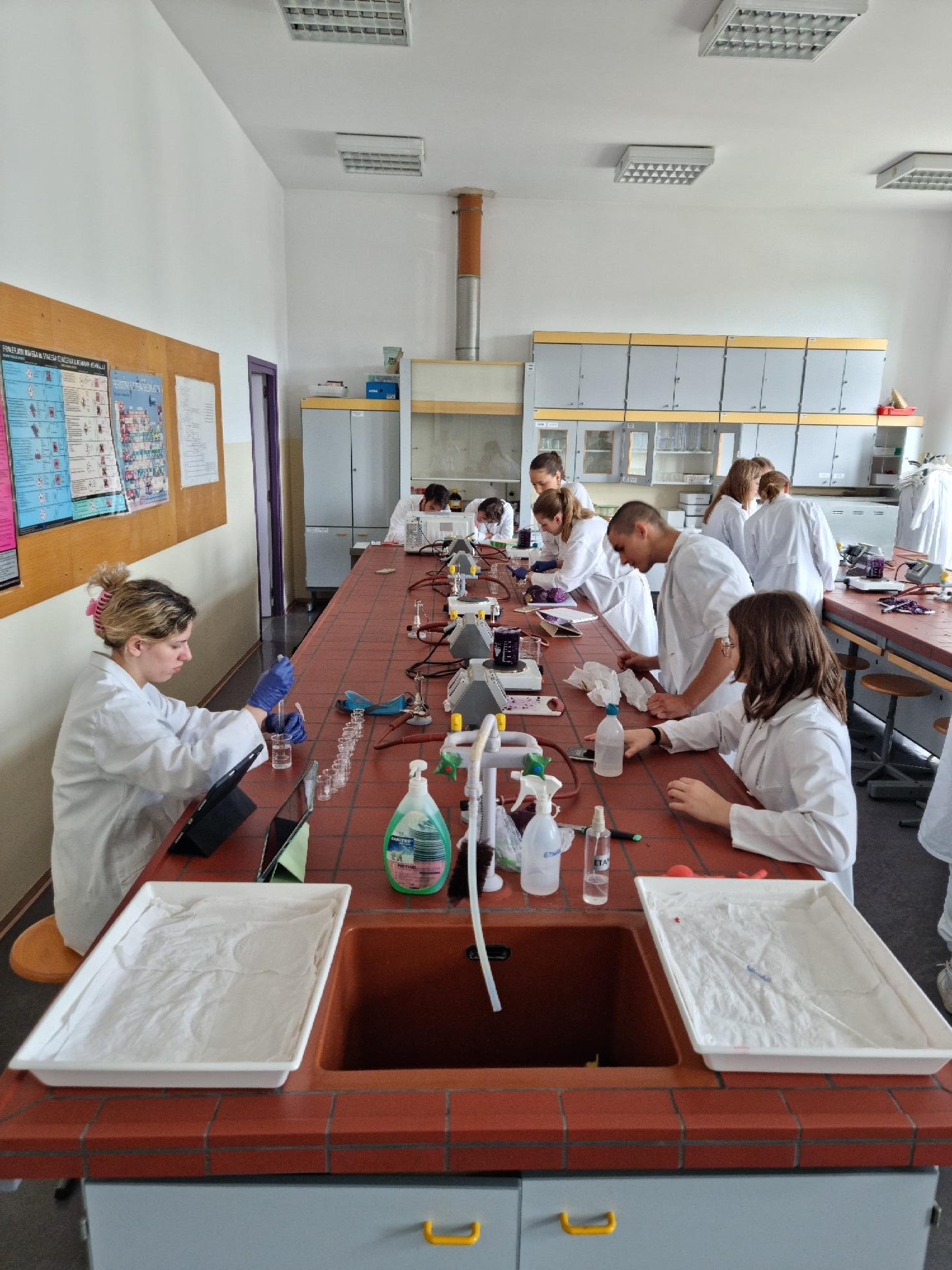 Uspešno izpeljan “Group 4 project” pri naravoslovnih predmetih v 3. letniku programa mednarodne mature (IB DP) Uspešno izpeljan “Group 4 project” pri naravoslovnih predmetih v 3. letniku programa mednarodne mature (IB DP)