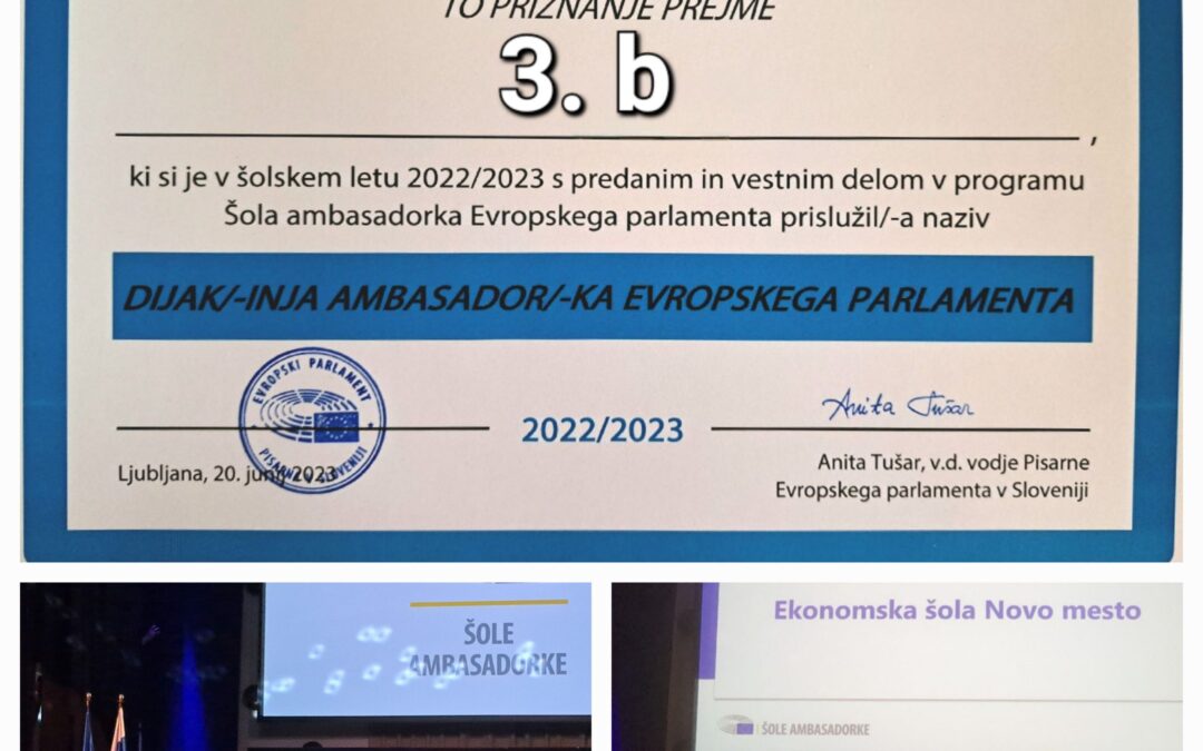 Ekonomska šola Novo mesto  – Šola ambasadorka Evropskega parlamenta
