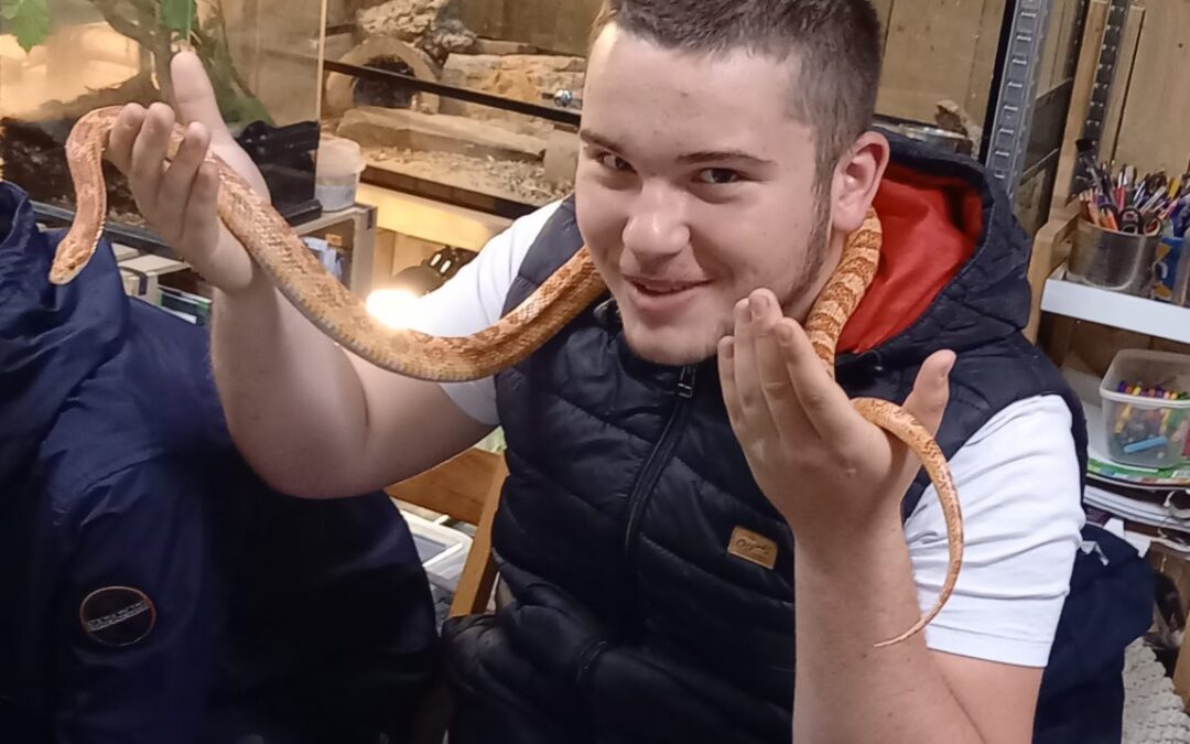 OGLED TROPSKE HIŠE IN TEHNOPARKA