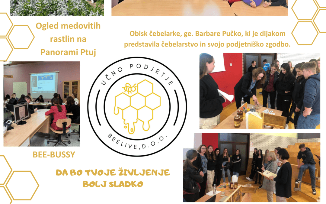 Učna podjetja na ŠETK – Dogajanje v šolskem letu 2022/23