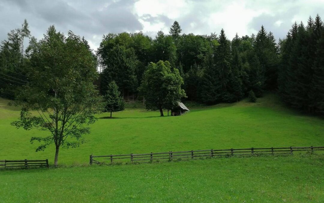 Svež zrak osvobaja