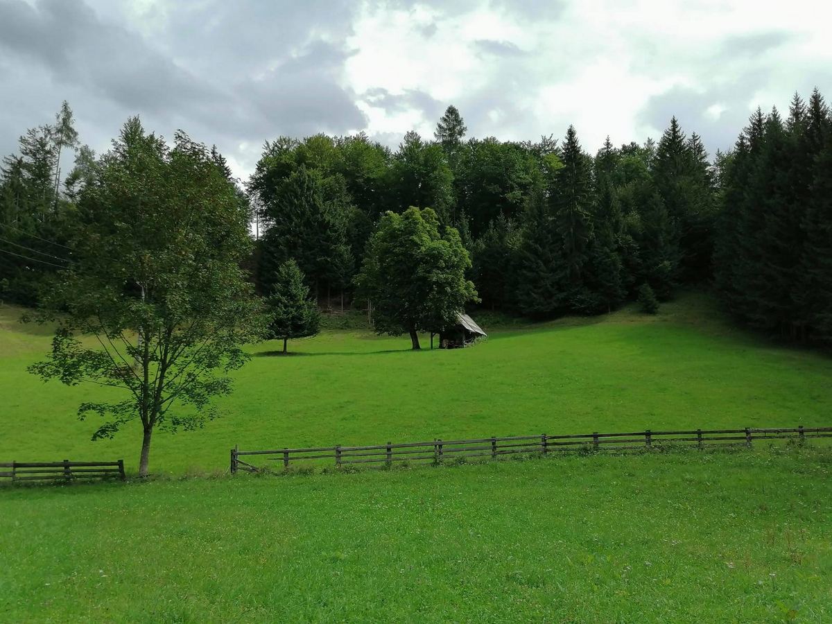 Svež zrak osvobaja