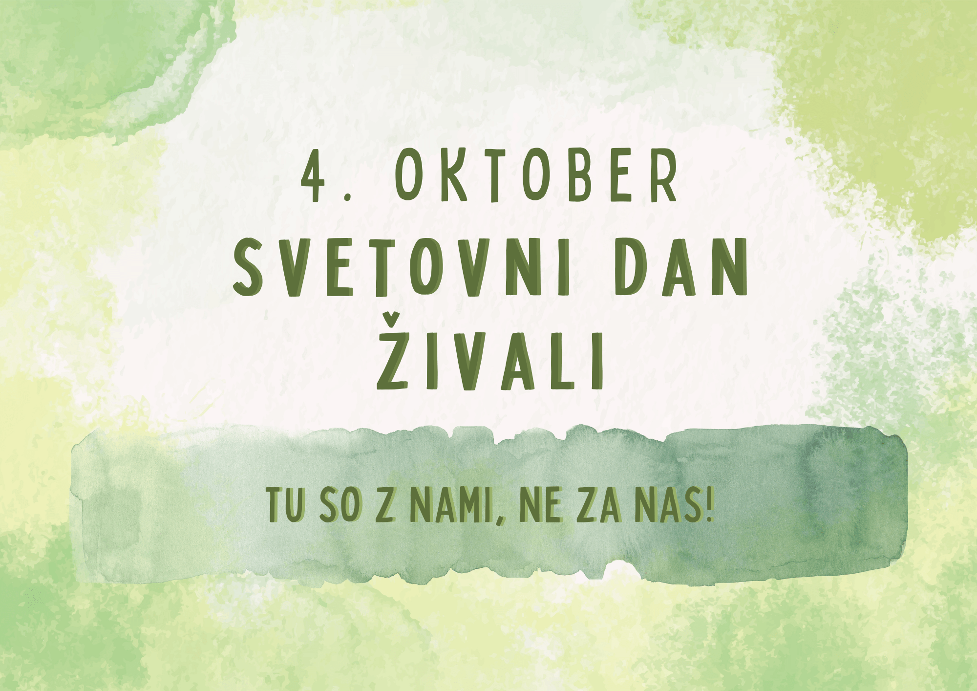 Zbiralna akcija za živali