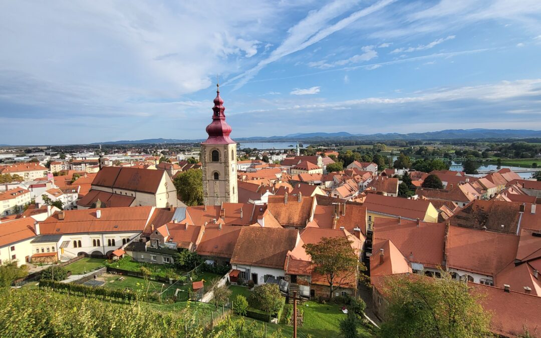 Strokovna ekskurzija na Ptuj