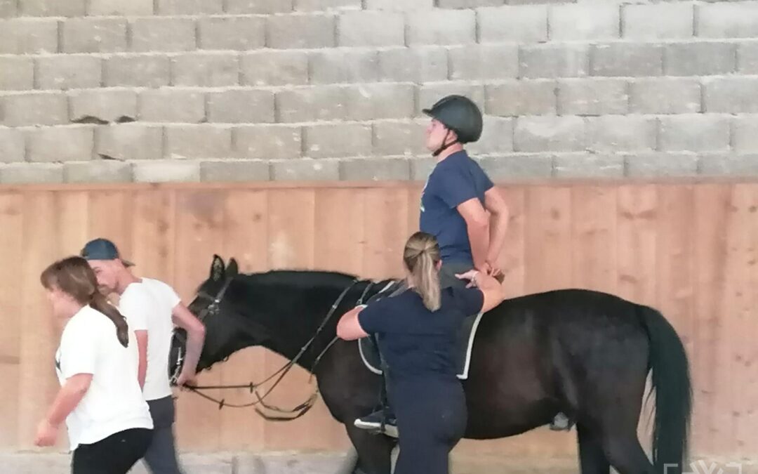 TERAPIJA S KONJI – NADARJENI DIJAKI IN TISTI, KI ŽELIJO VEČ