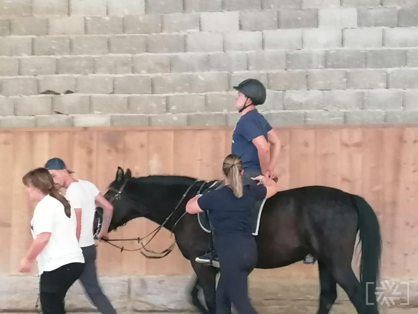 TERAPIJA S KONJI – NADARJENI DIJAKI IN TISTI, KI ŽELIJO VEČ