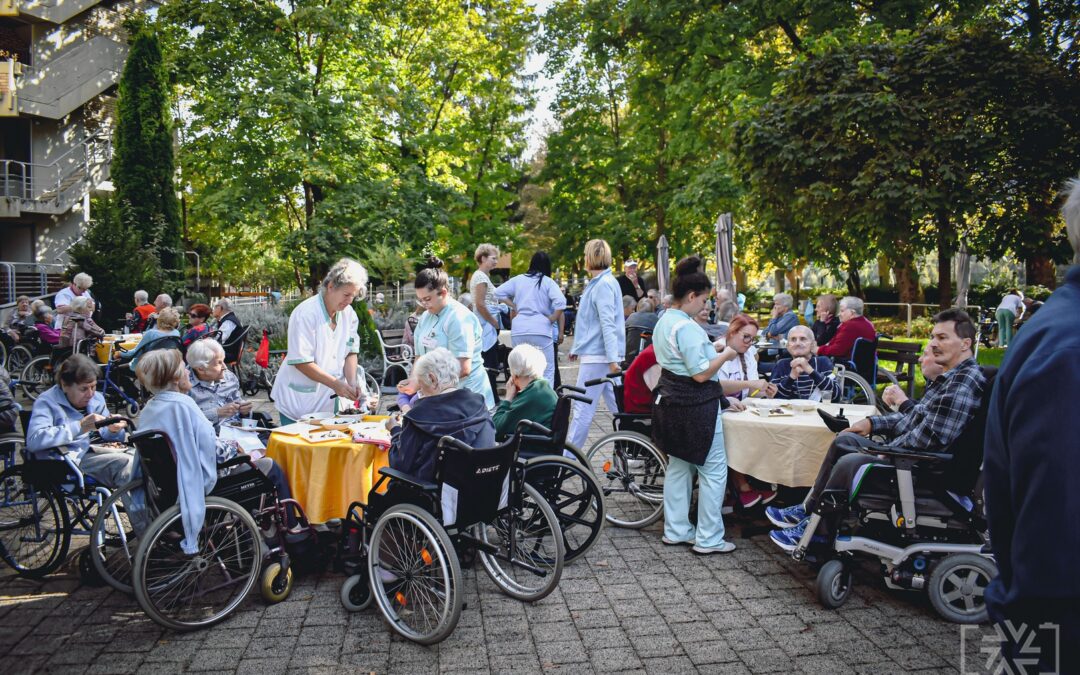 NASTOP GLOGA NA KOSTANJEVEM PIKNIKU DOMA OB SAVINJI CELJE