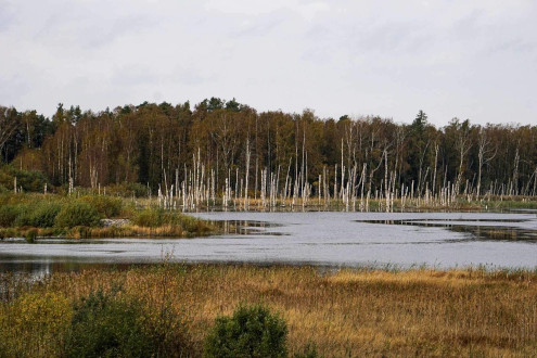 Finska pokrajina.
