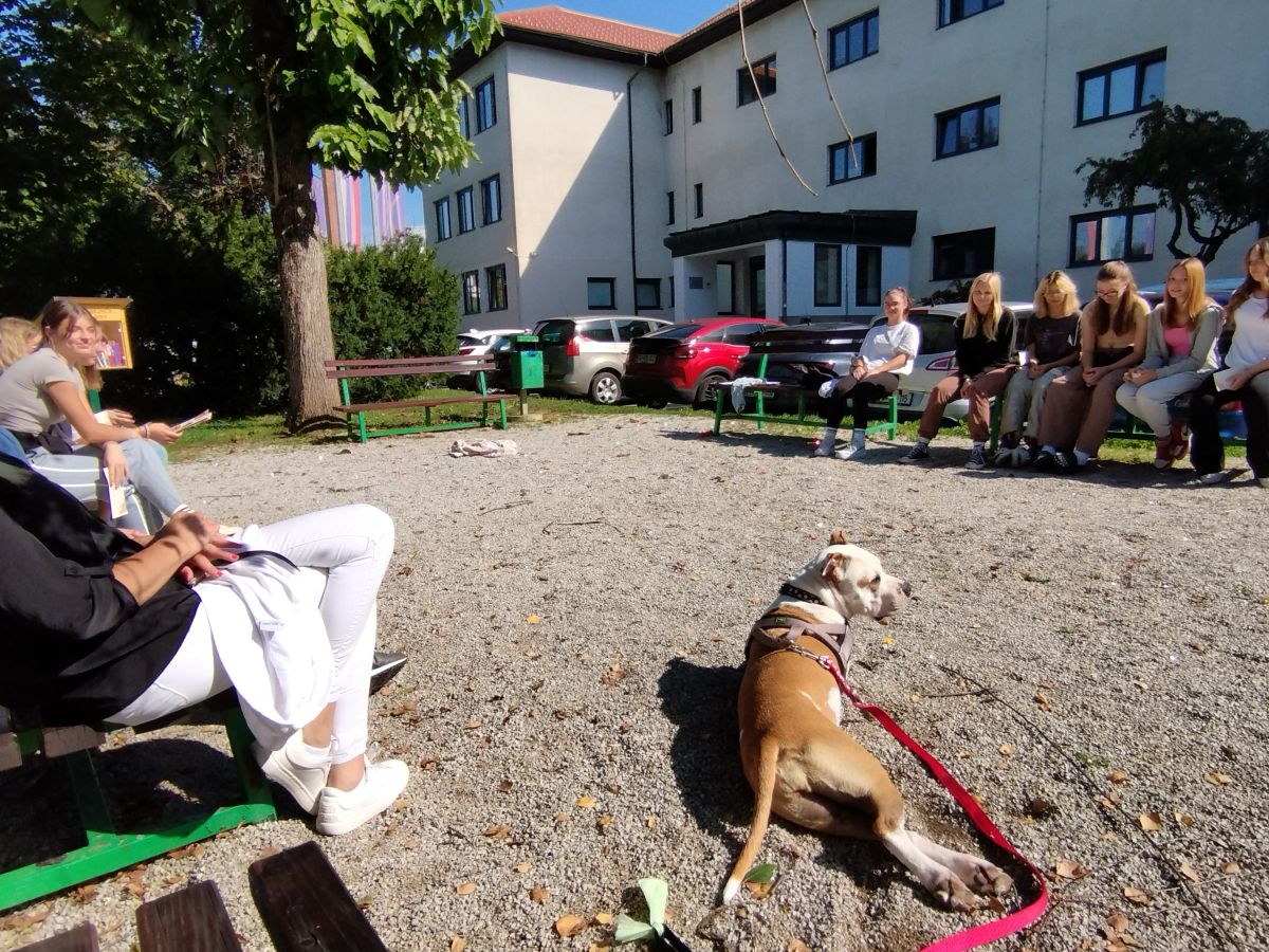 Obisk kulturno umetniškega društva STIK