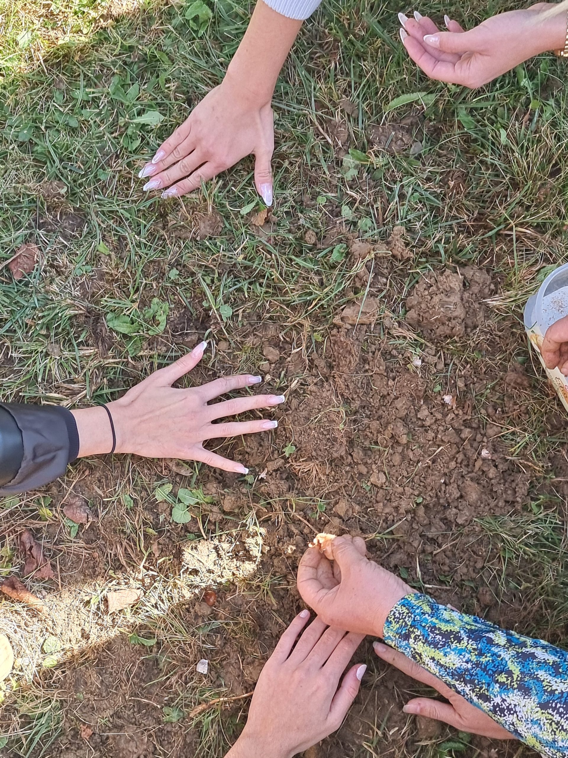 Projekt Krokus na Ekonomski šoli Murska Sobota Projekt Krokus na Ekonomski šoli Murska Sobota