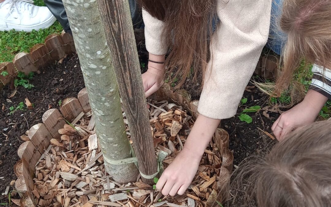 S projektom Krokus obeležili svetovni dan spomina na žrtve holokavsta