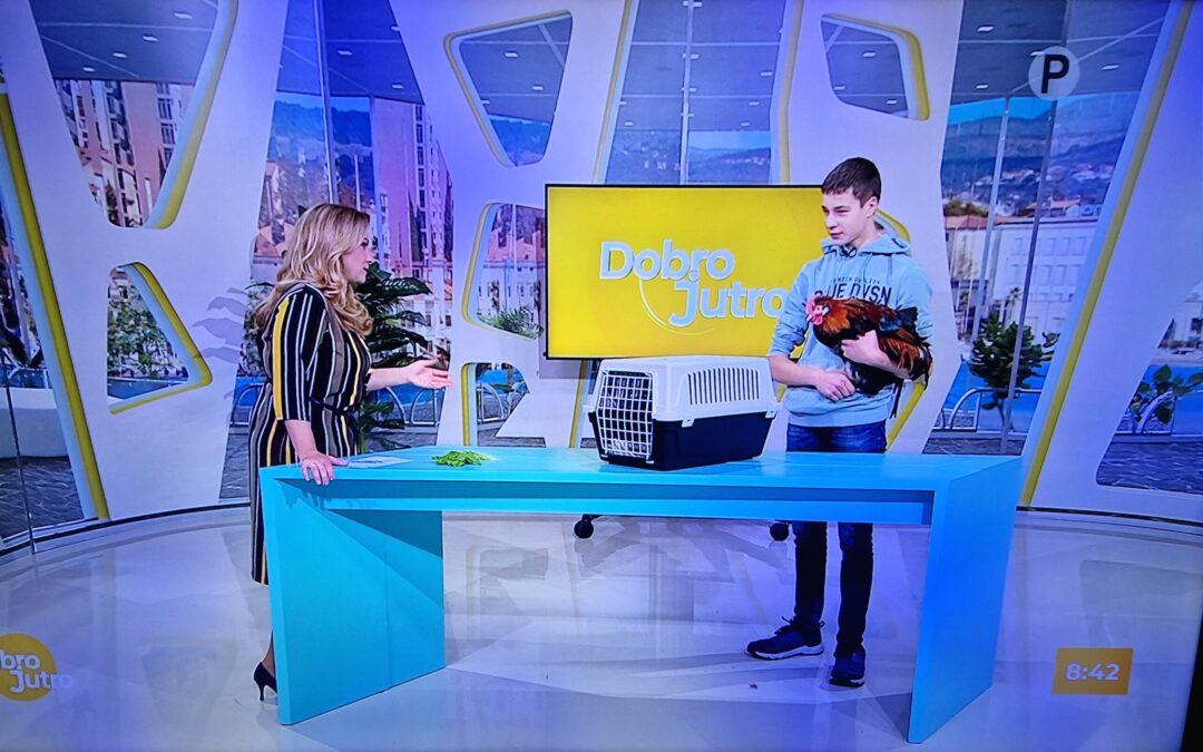 Naš dijak Luka Biščak na TV o reji perutnine