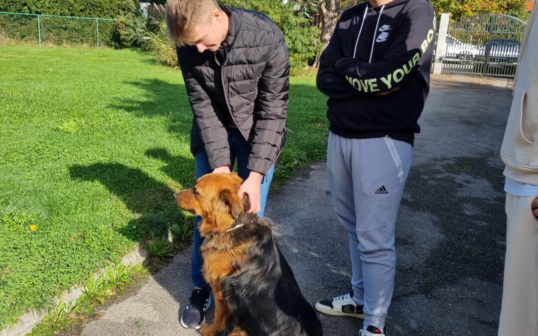Dobrodelna akcija UP Animall uspešno zaključena