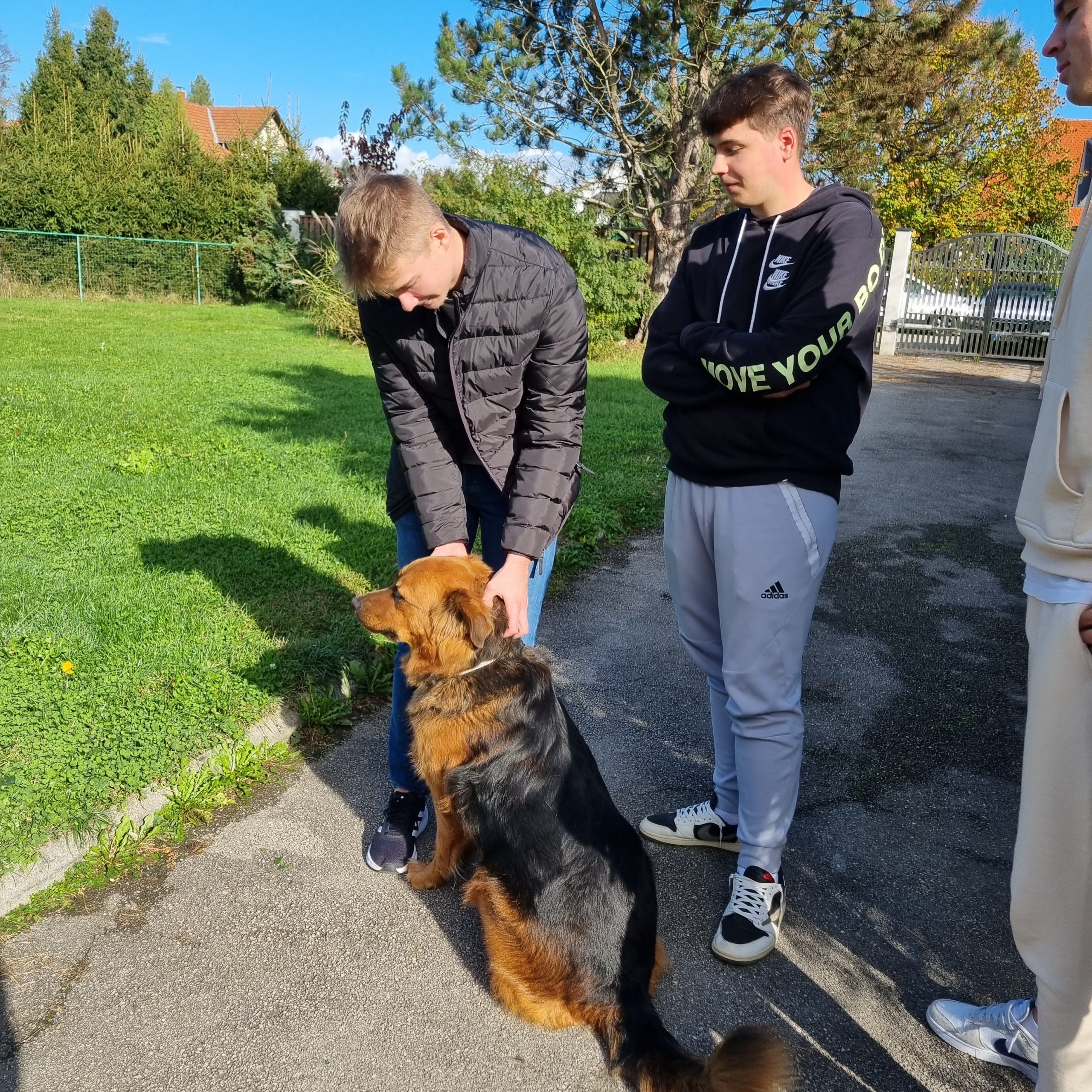 Dobrodelna akcija UP Animall uspešno zaključena Dobrodelna akcija UP Animall uspešno zaključena