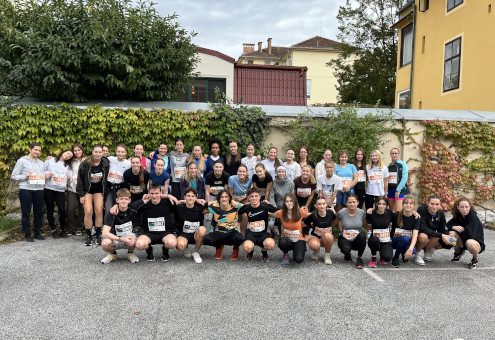 Ledinci na Ljubljanskem maratonu