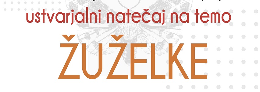 Ustvarjalni natečaj na temo ŽUŽELKE