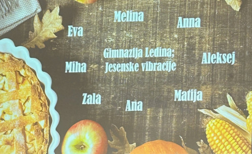 Tujejezični recital Jezik – kultura in tradicija
