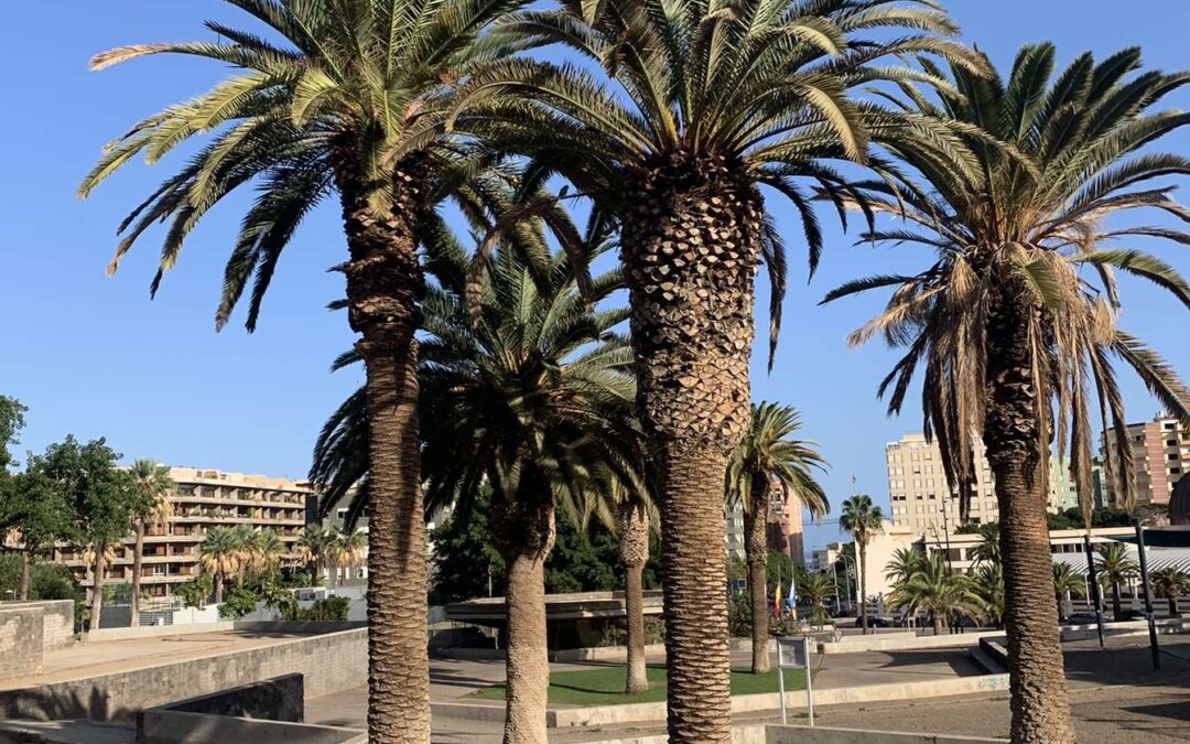 Tenerife, 23. 11. 2023