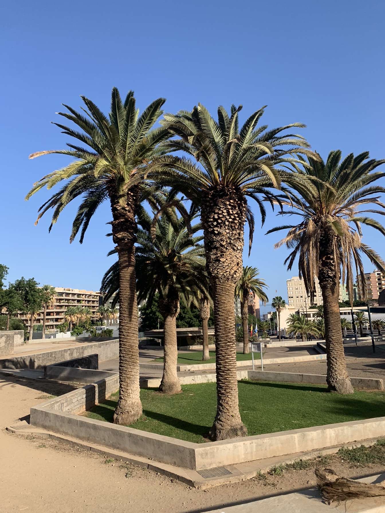 Tenerife, 23. 11. 2023