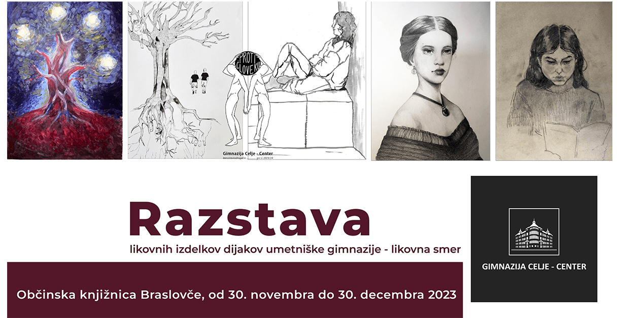 Razstava v Občinski knjižnici Braslovče