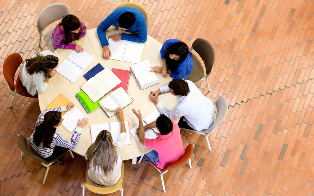 NACIONALNI POSVET MLADINSKEGA SEKTORJA