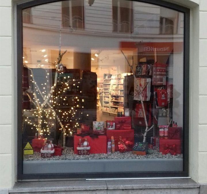 LJUBLJANA V PRAZNIČNI PODOBI – 1. AŠ in 2. AŠ