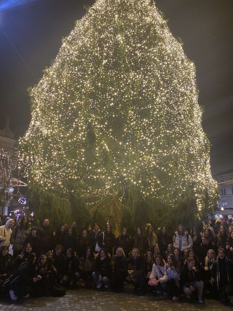 Ljubljana-aranžerji_2023 (5)