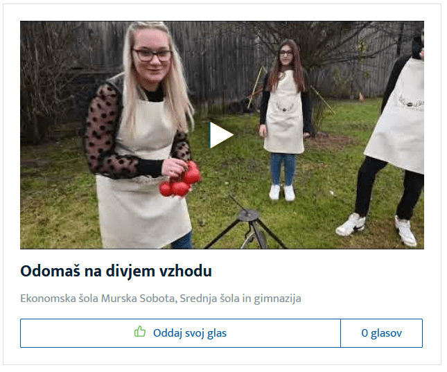 Glasovanje za videospot v okviru projekta Več znanja za več turizma