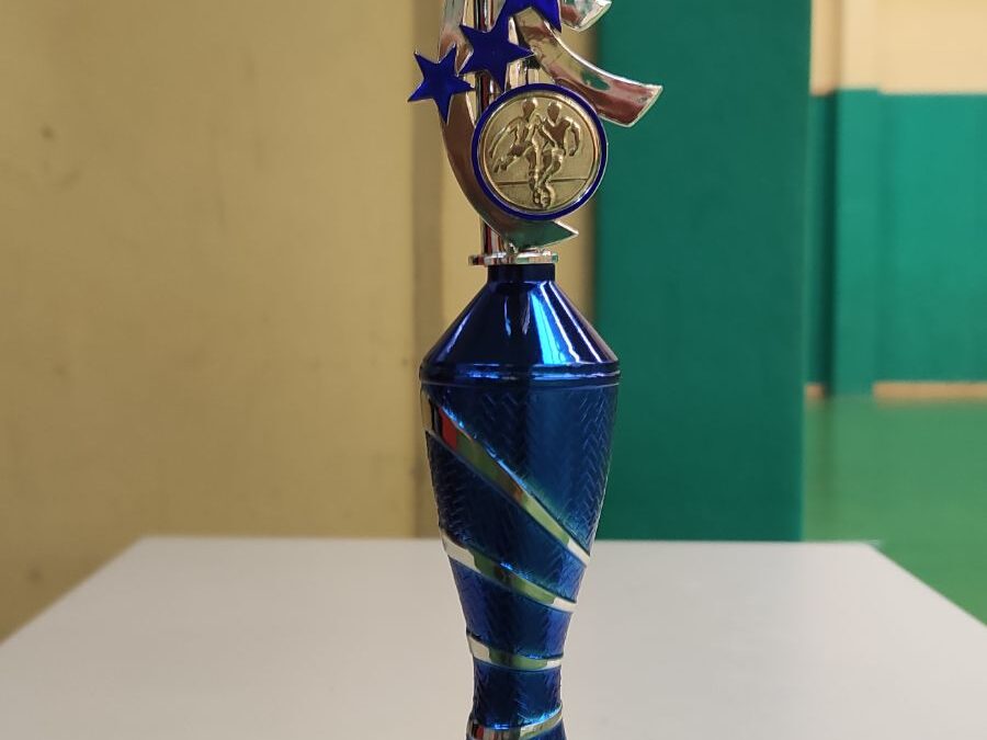 Finalni turnir področnega prvenstva v nogometu za dijake
