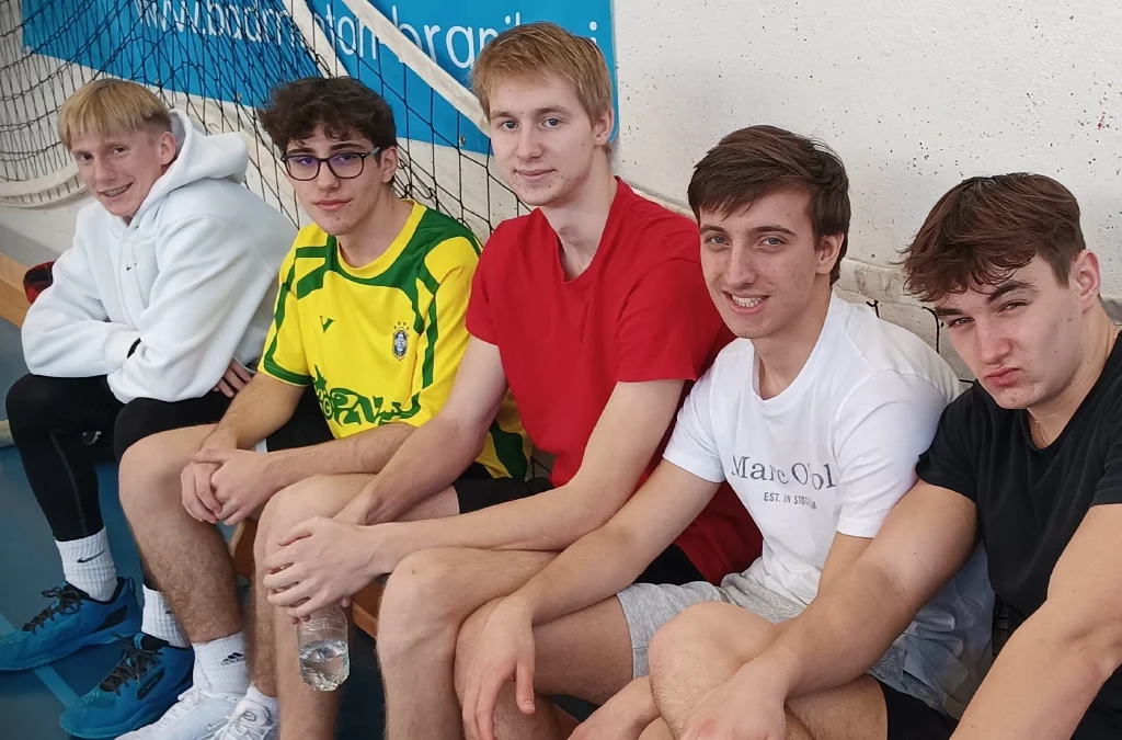 Posamično področno srednješolsko tekmovanje v badmintonu