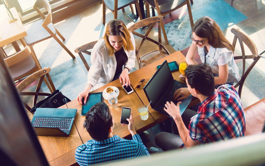 MEPI KARIERNA IZVIDNICA