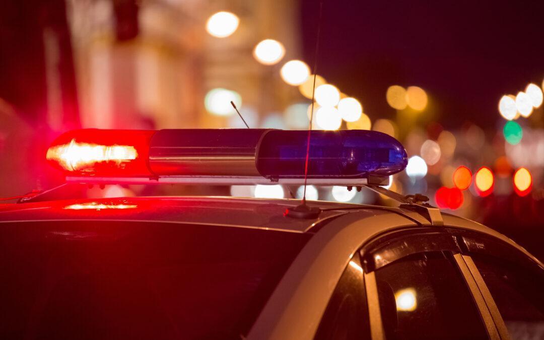 PREDSTAVITEV POKLICA POLICIST IN VIŠJEŠOLSKEGA PROGRAMA ZA POLICISTE
