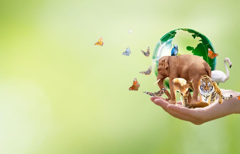 LIKOVNI NATEČAJ “USTVARJAMO ZA ZOOplanet 2024”