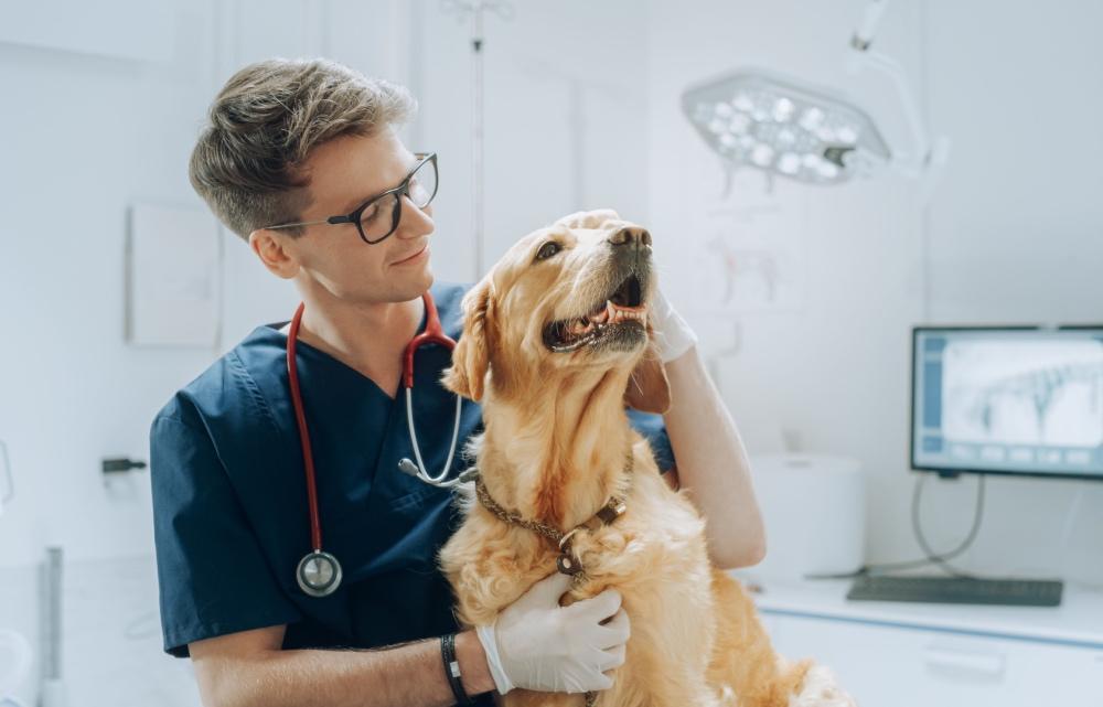 Veterinar