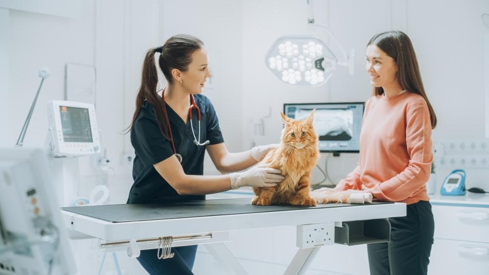 Veterinar