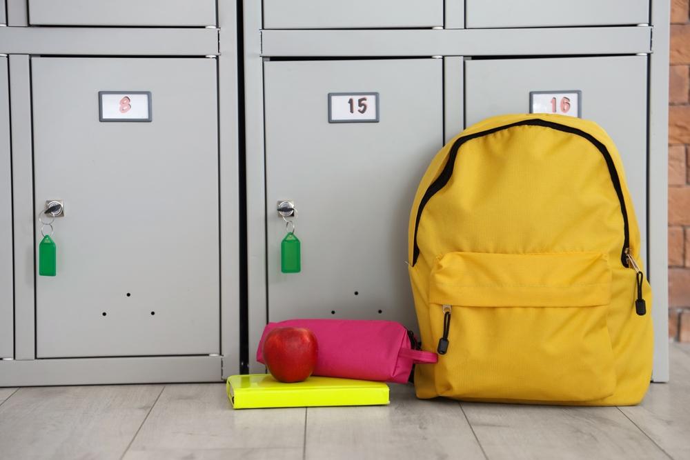 Srednje šole v primorsko-notranjski regiji