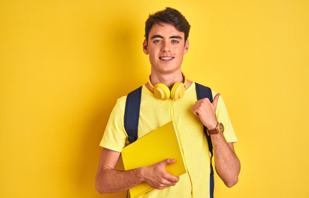 Srednje šole v goriški regiji