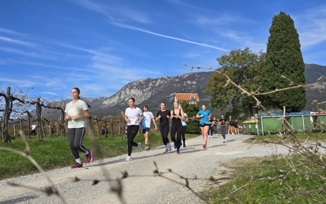 Škofijska je tekla …