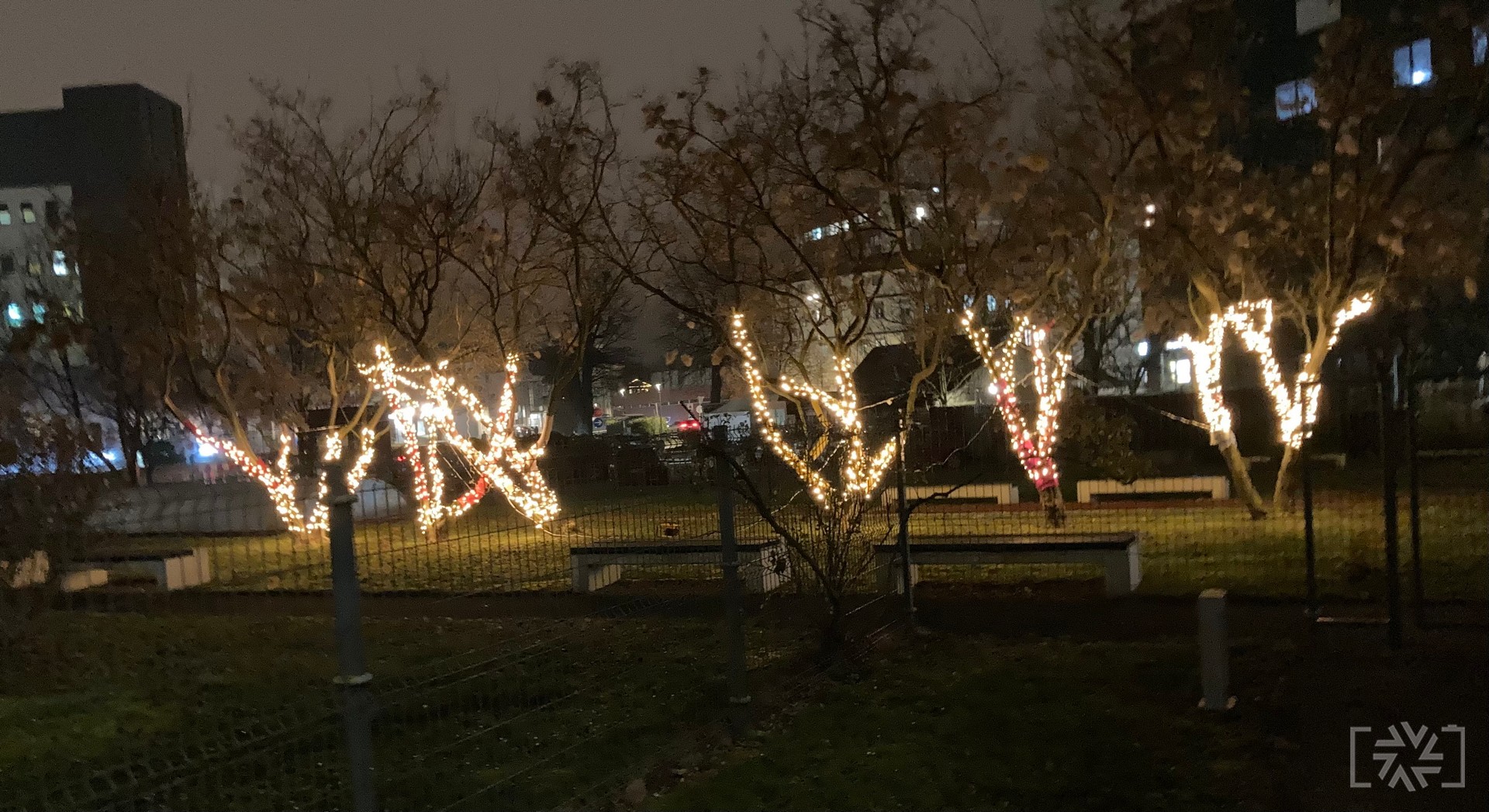 ODETA IN OŽARJENA DREVESA