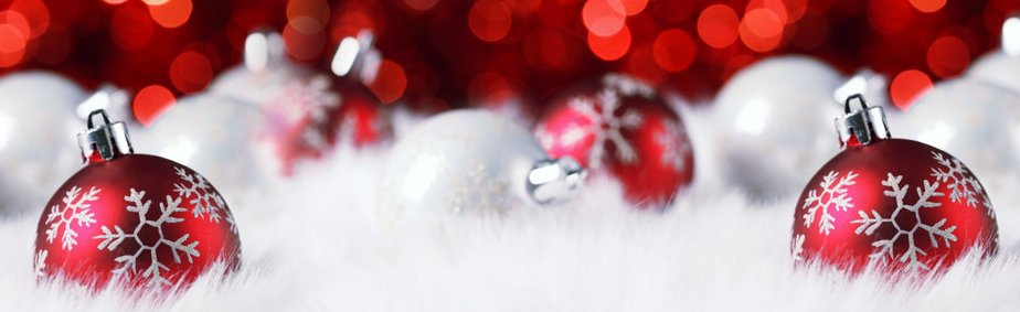 Okrožnica – Božično-novoletne počitnice, december 2024