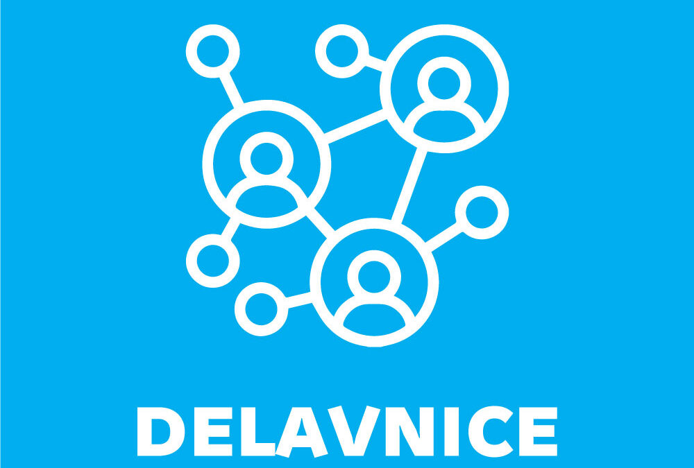 Delavnica konzularnega ozaveščanja za mlade