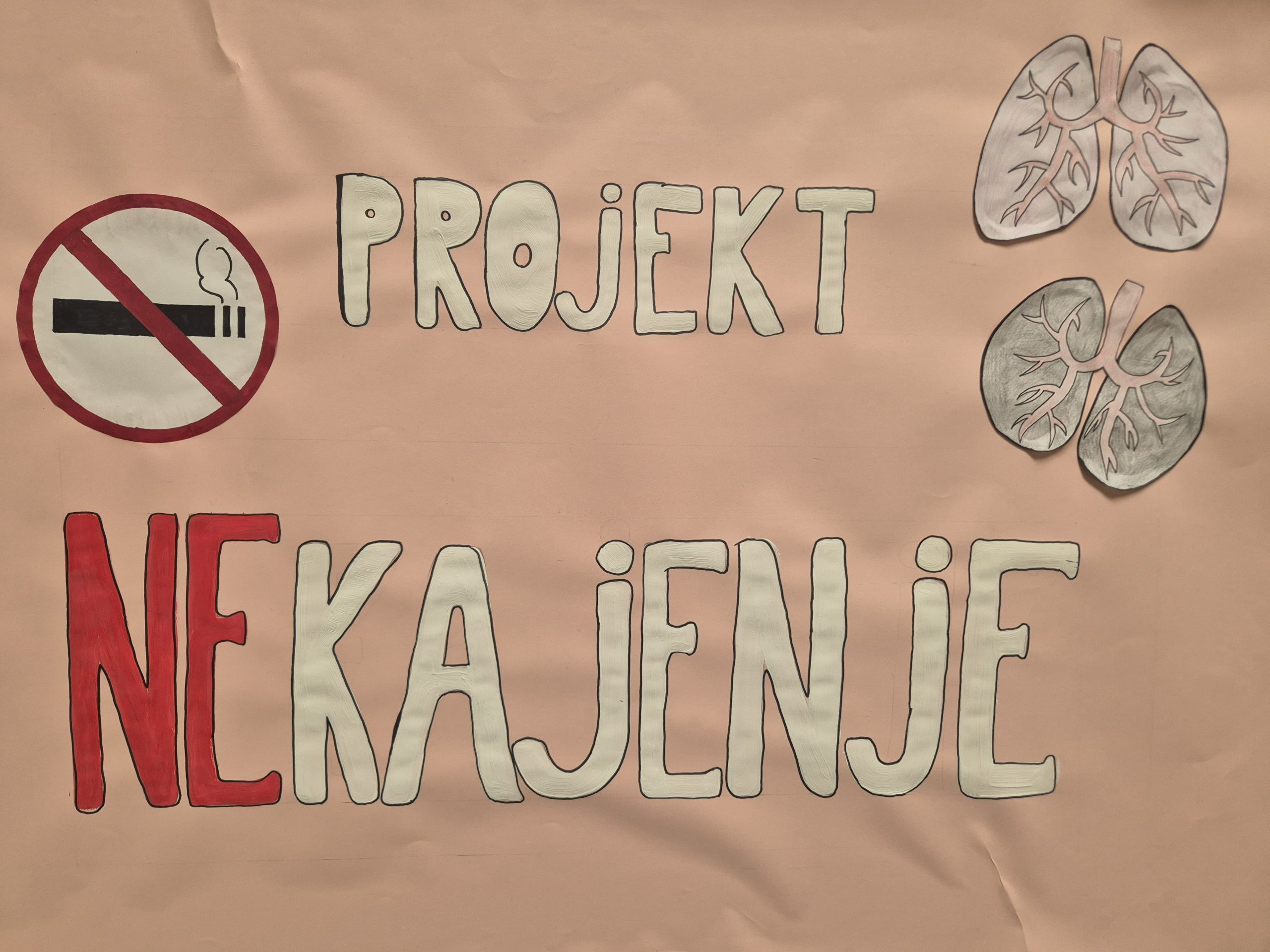 Projekt nekajenje